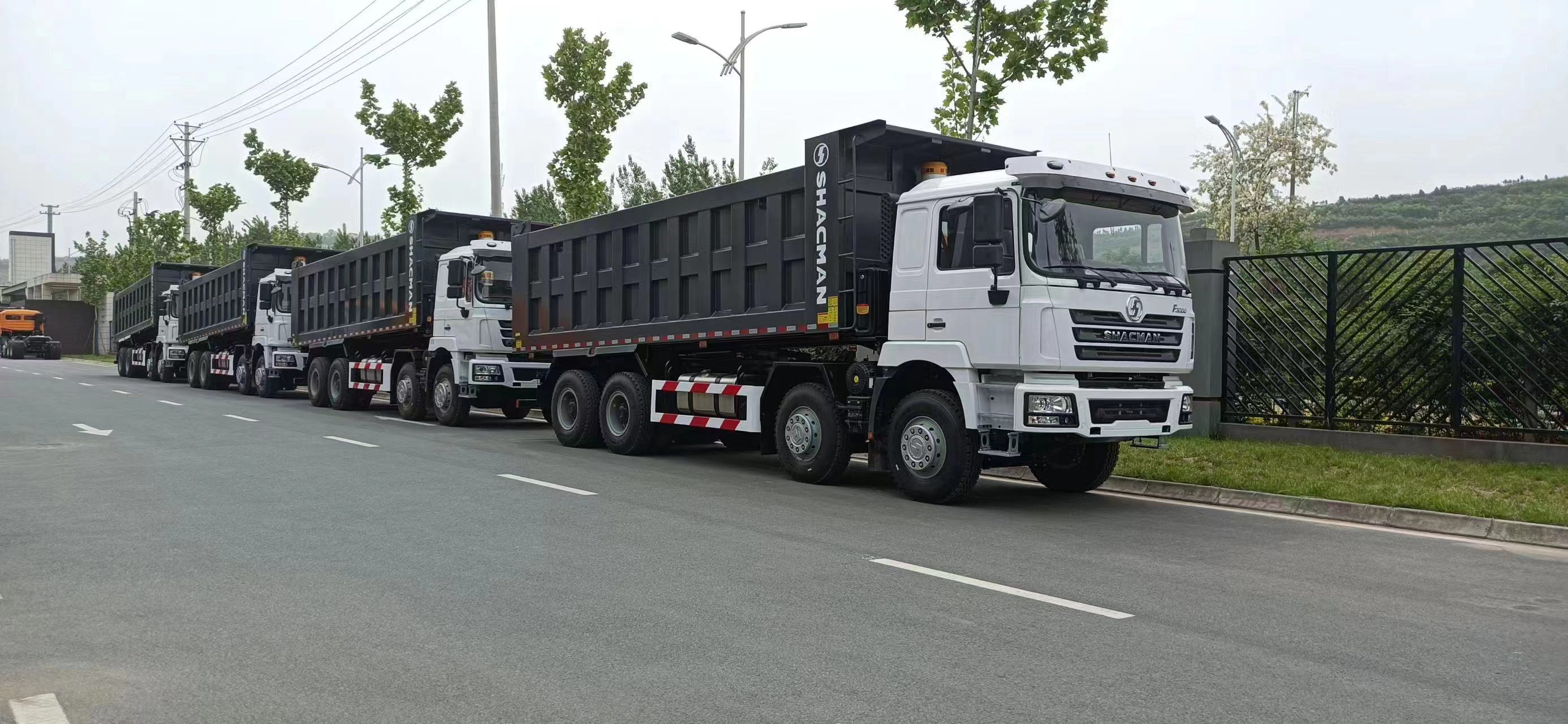 SHACMAN F3000 Reinforced 8x4 Dump Truck 430HP Euro II 22CBM Heavy Mining Tipper Truck For Muddy Rough Road
