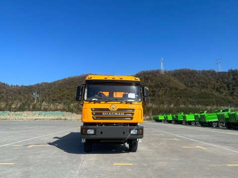 SHACMAN F3000 6×4 Heavy Duty Mining Dump Truck 340HP Euro II SX3255JR404 Tipper Lorry